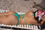 Triangle Bikini Set – Aqua Rush